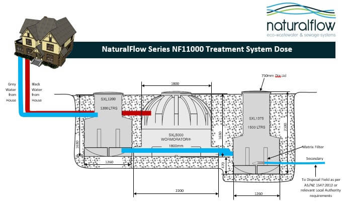 NF11000 treatment system dose